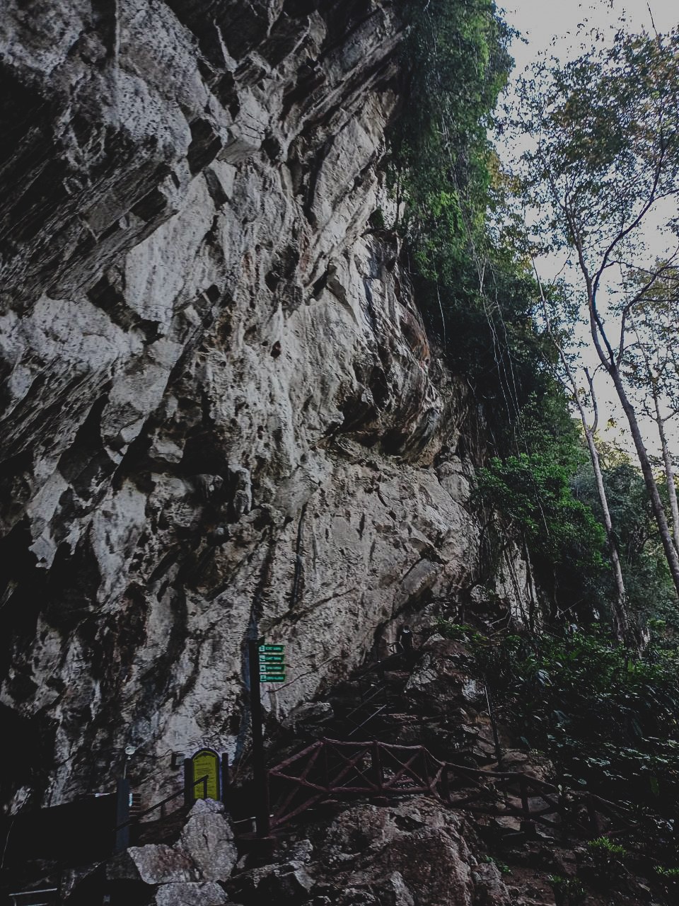 Bukit Pelarit