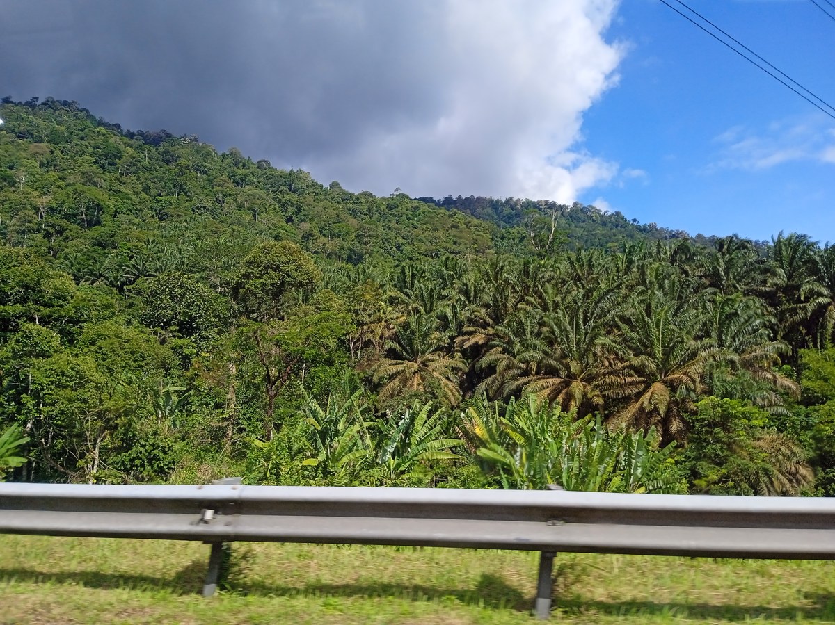Bukit Ara Kangkang