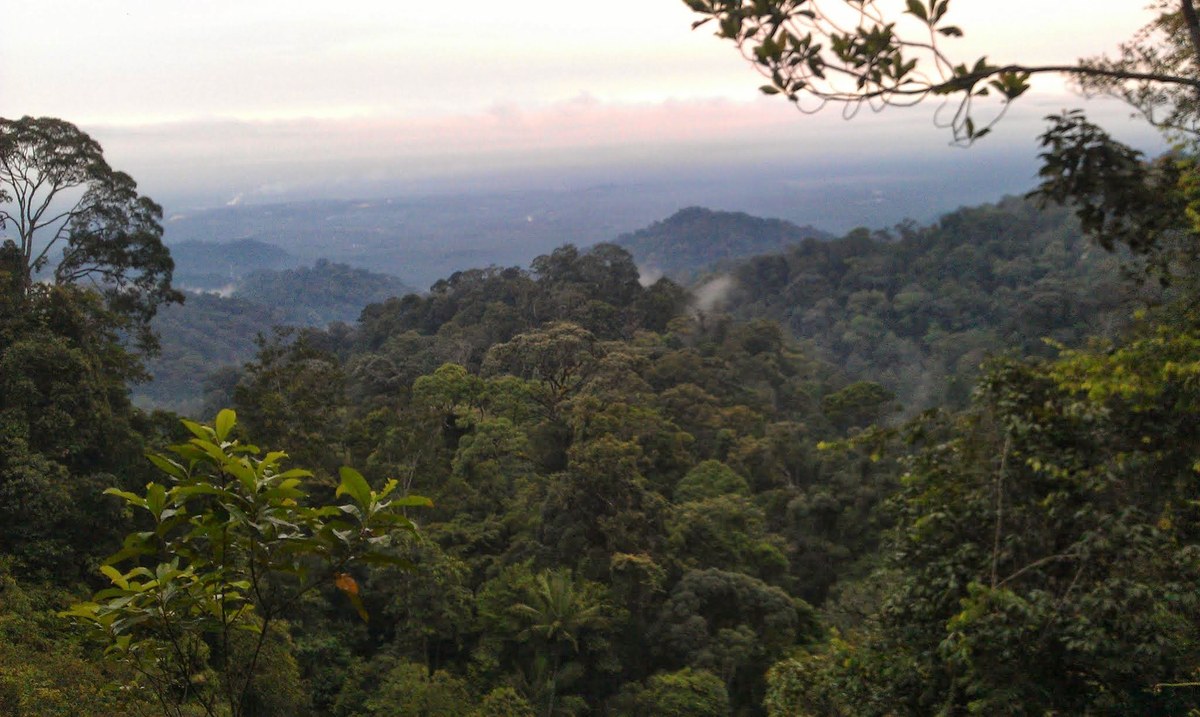 Air Terjun Gunung Pulai