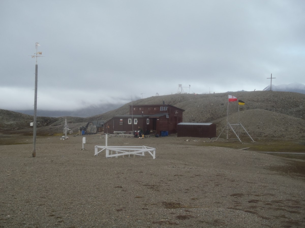Gråfjellet