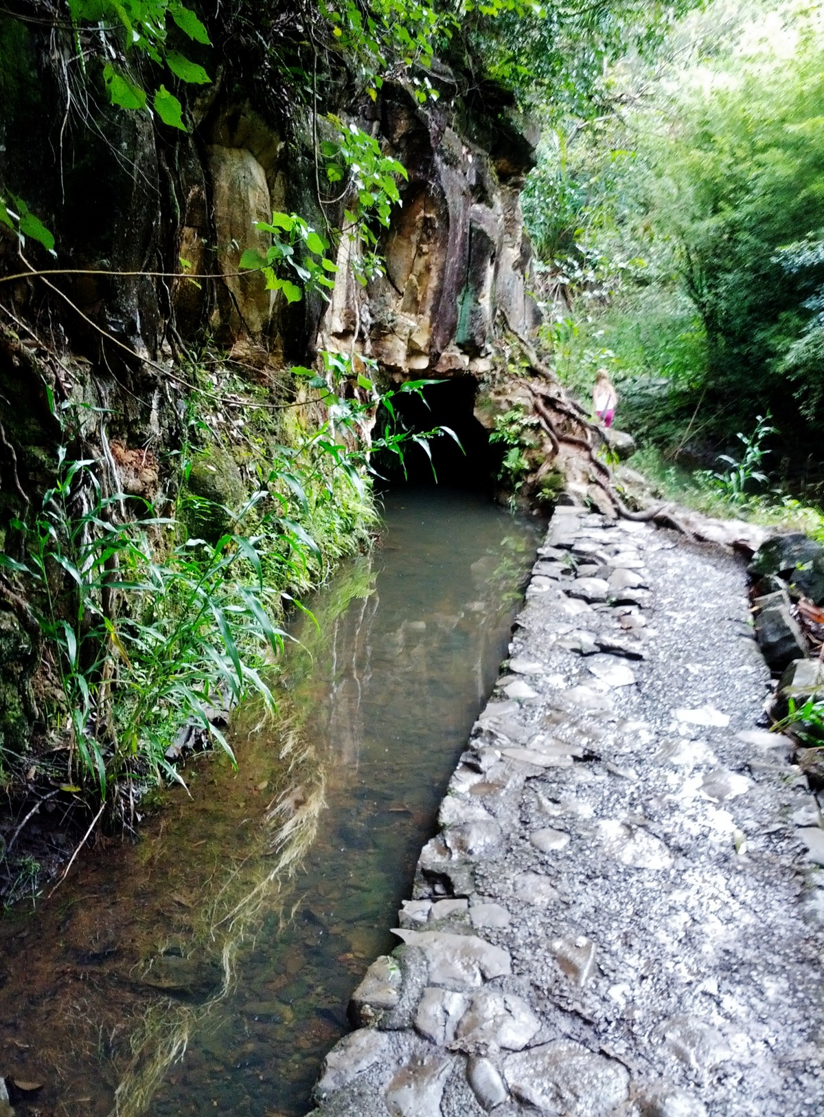 Wai'anapanapa State Park