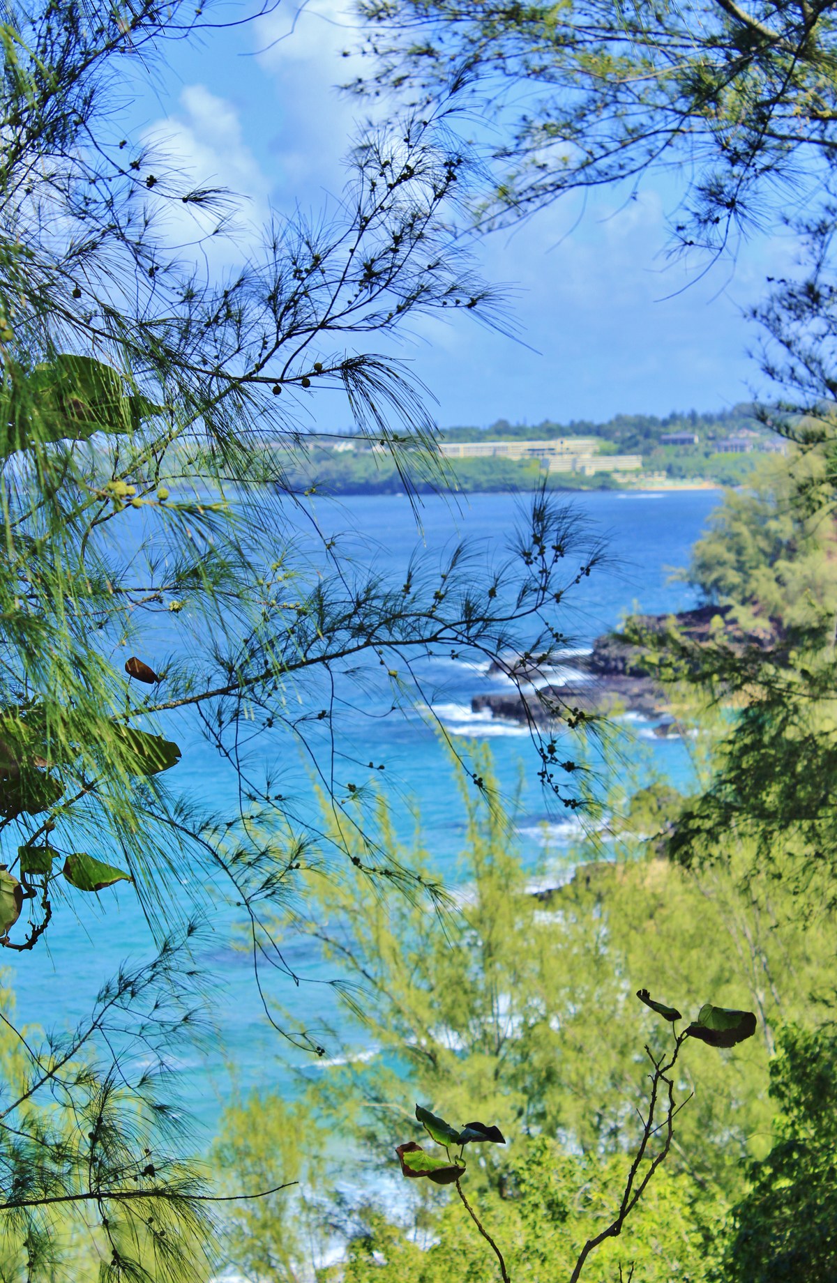 Waikoko Beach