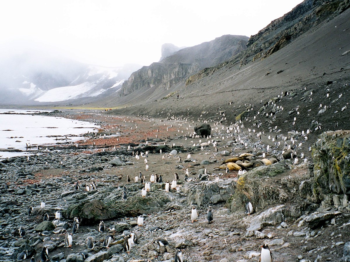 Clark Nunatak