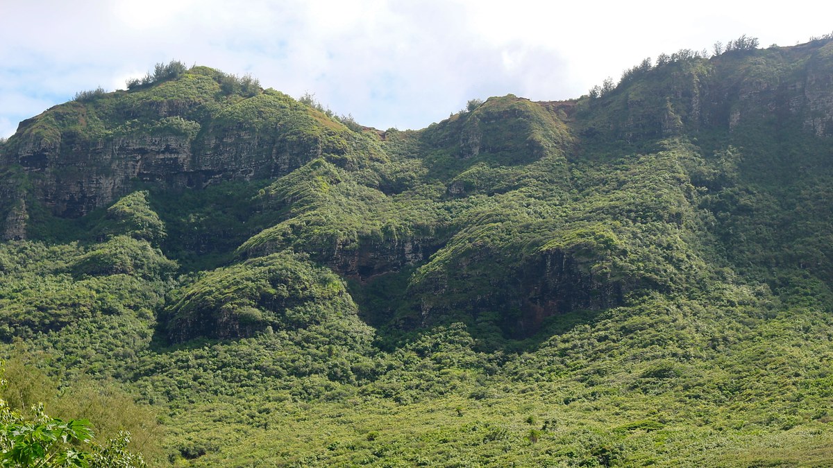 Kalanipuʻu