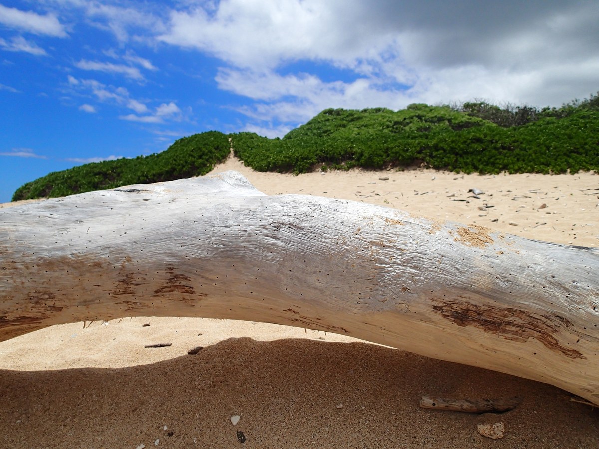 Gillins Beach