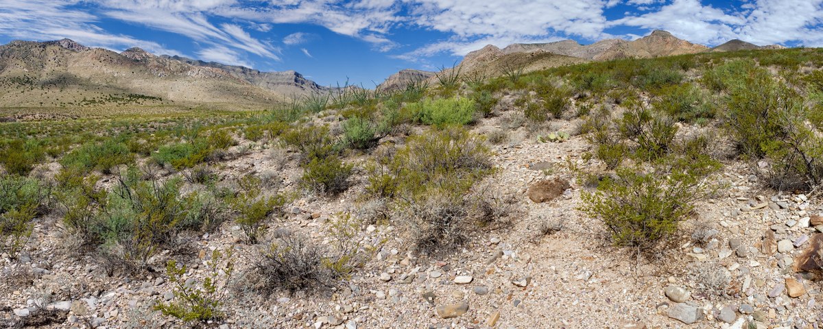 Grandview Mountain