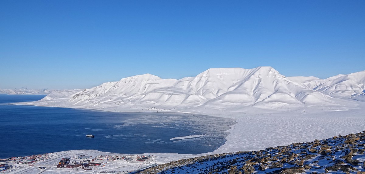 Brandtbreen