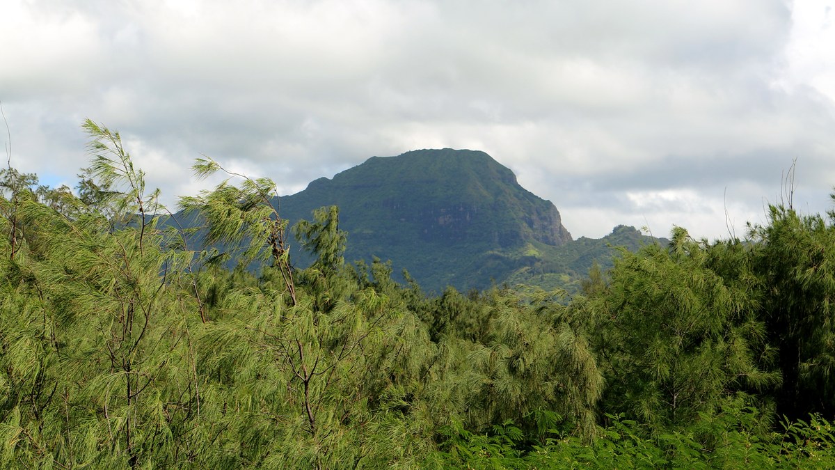 Hāʻupu