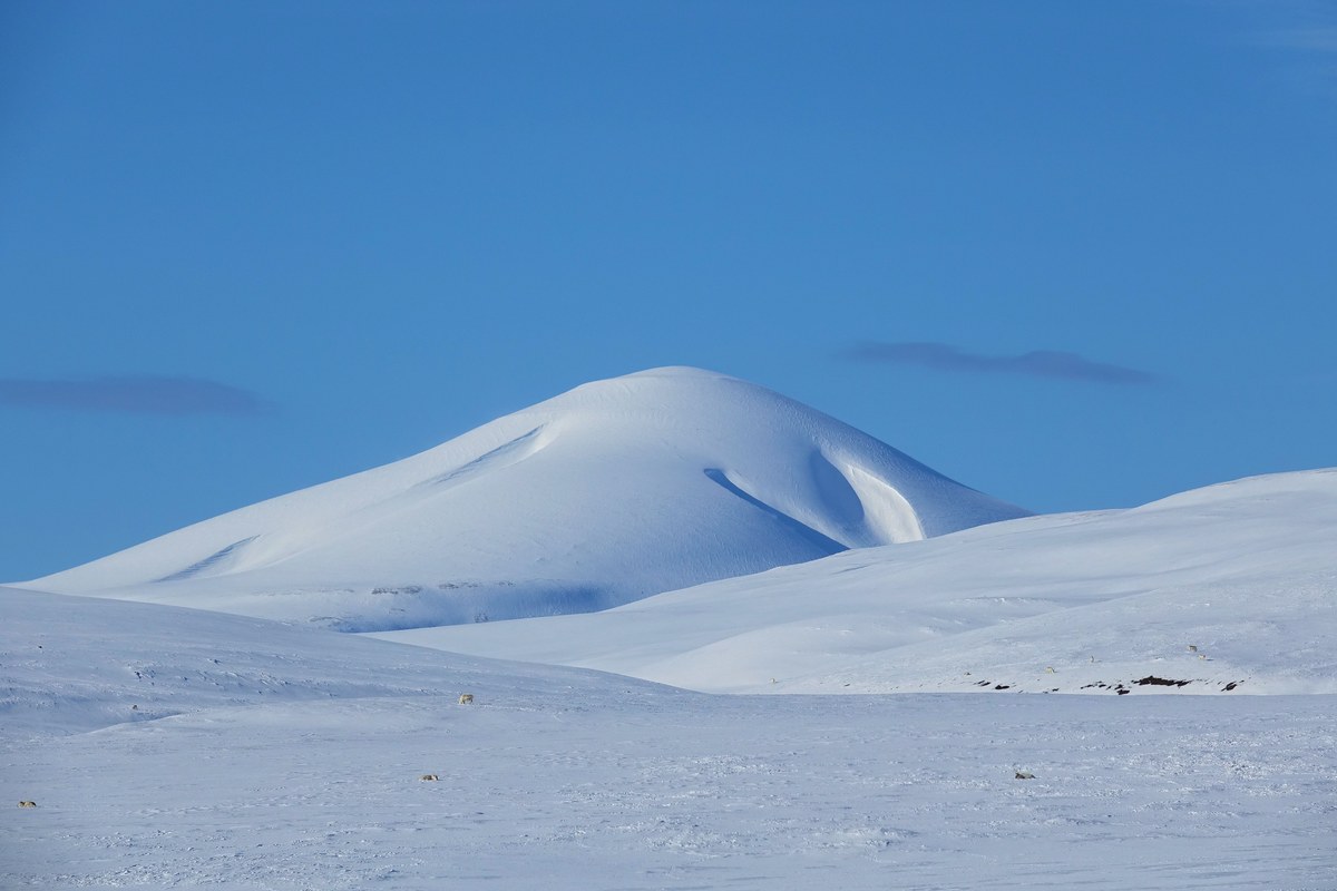 Passfjellet
