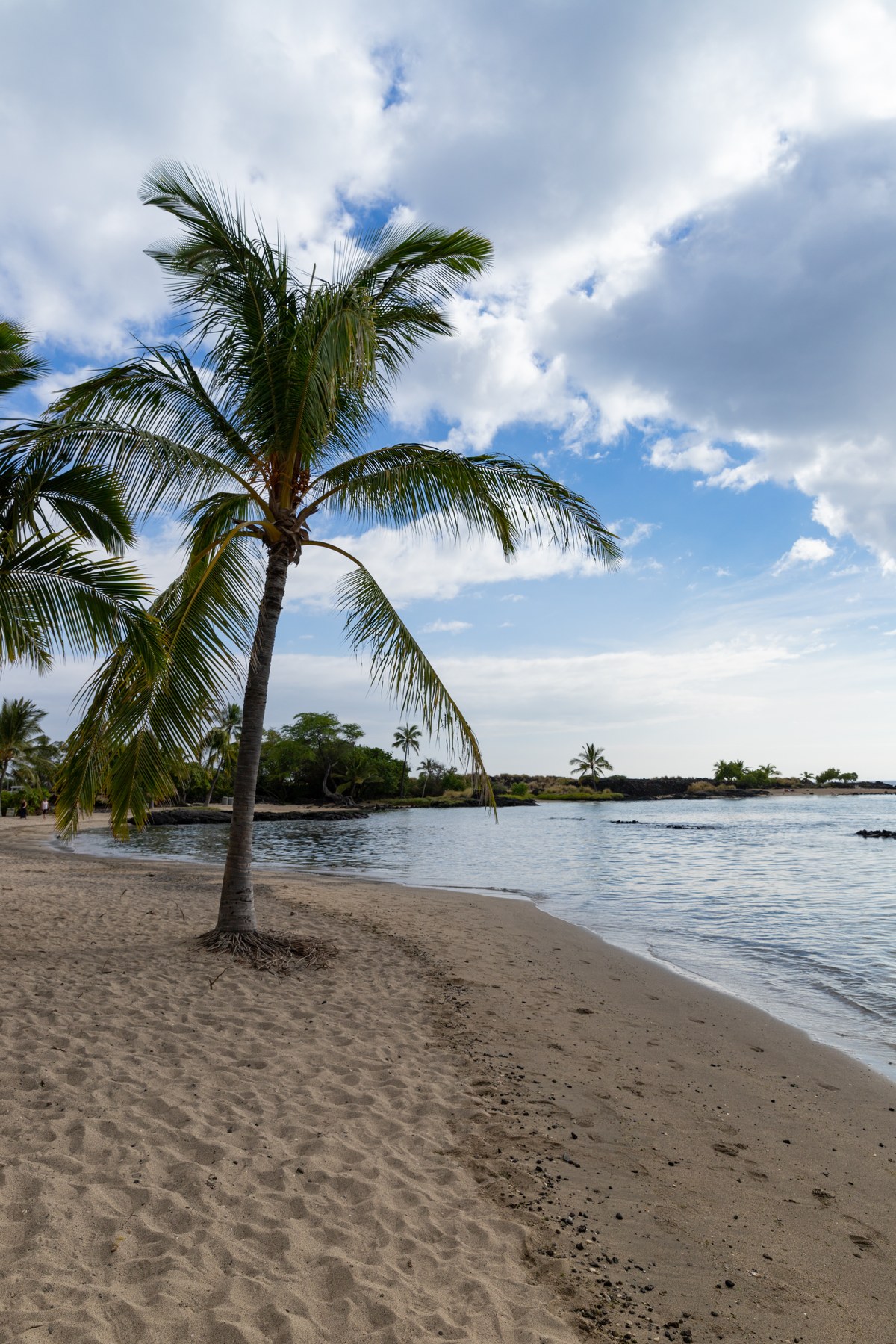 Honokohau Beach