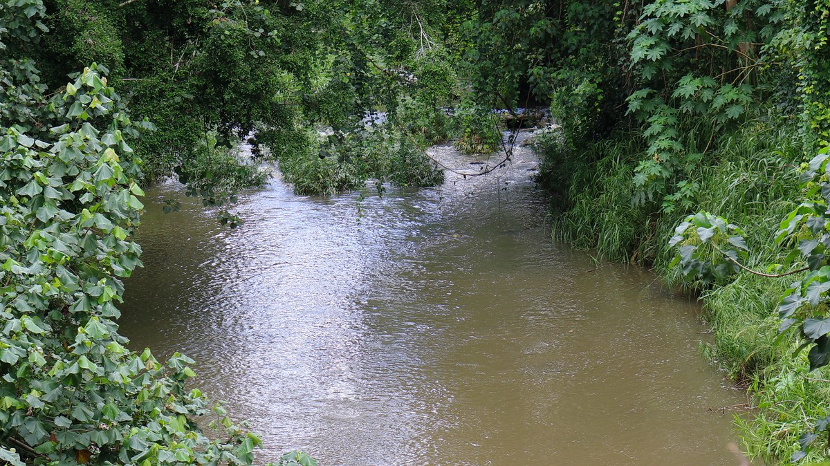 Kāmaulele
