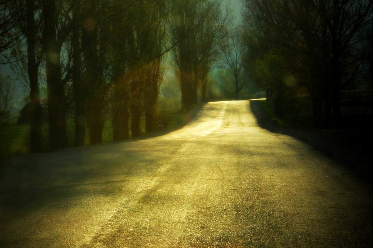 Vârful Prigoru