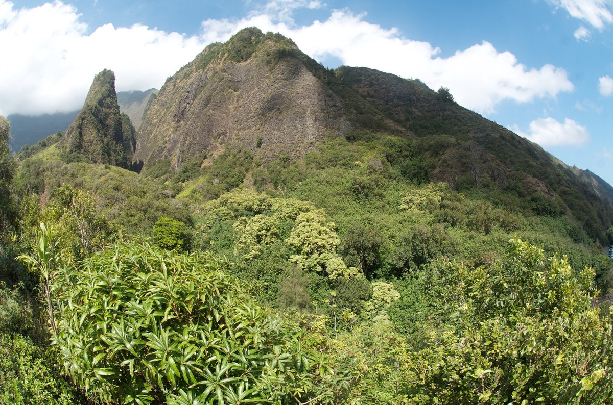 Kalua