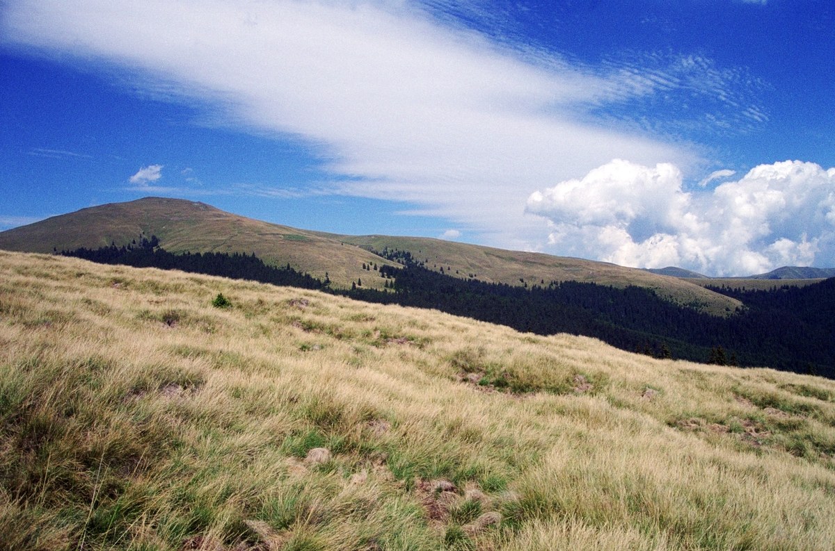 Iezer Mountains