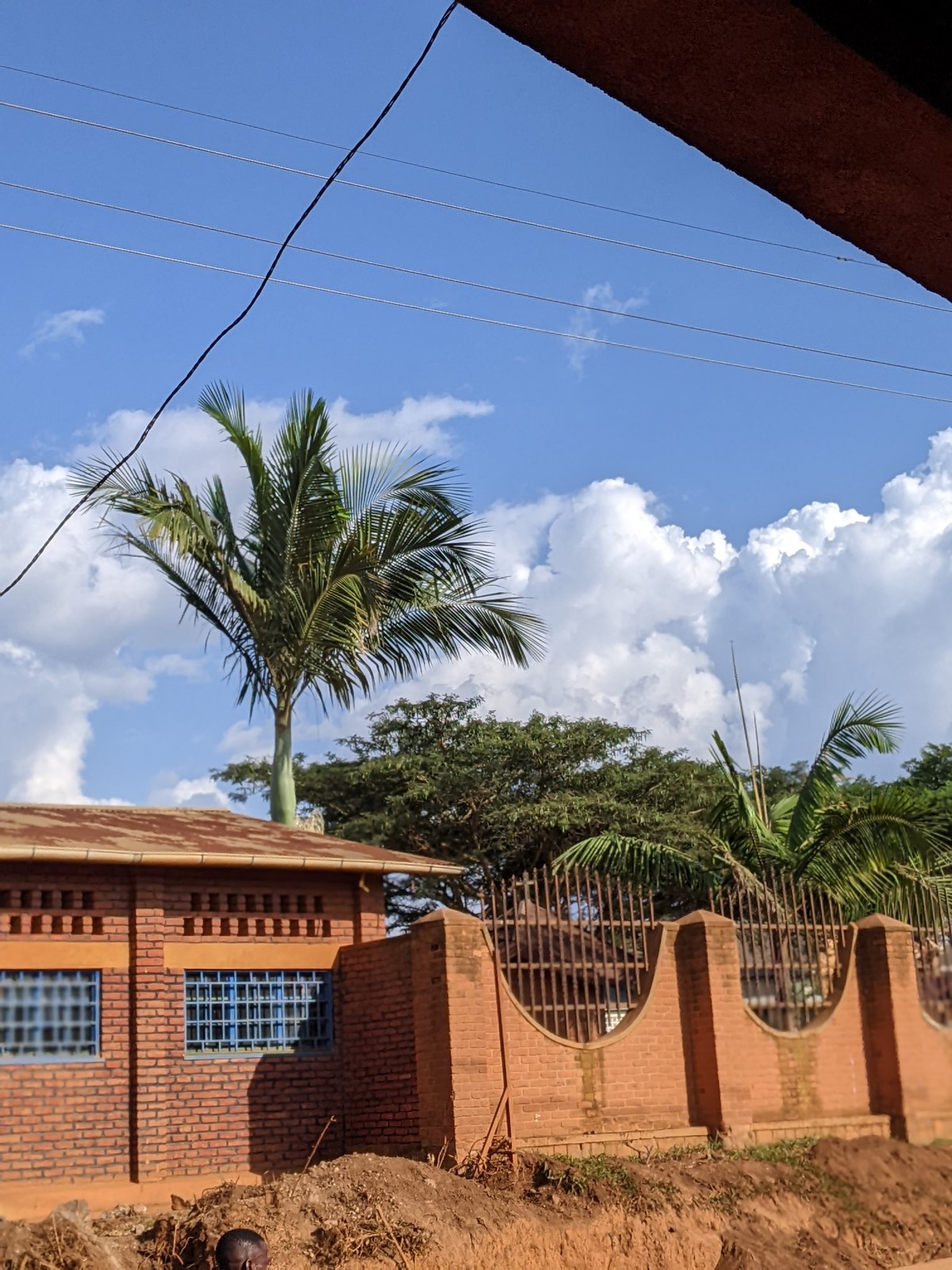 Muyumbu