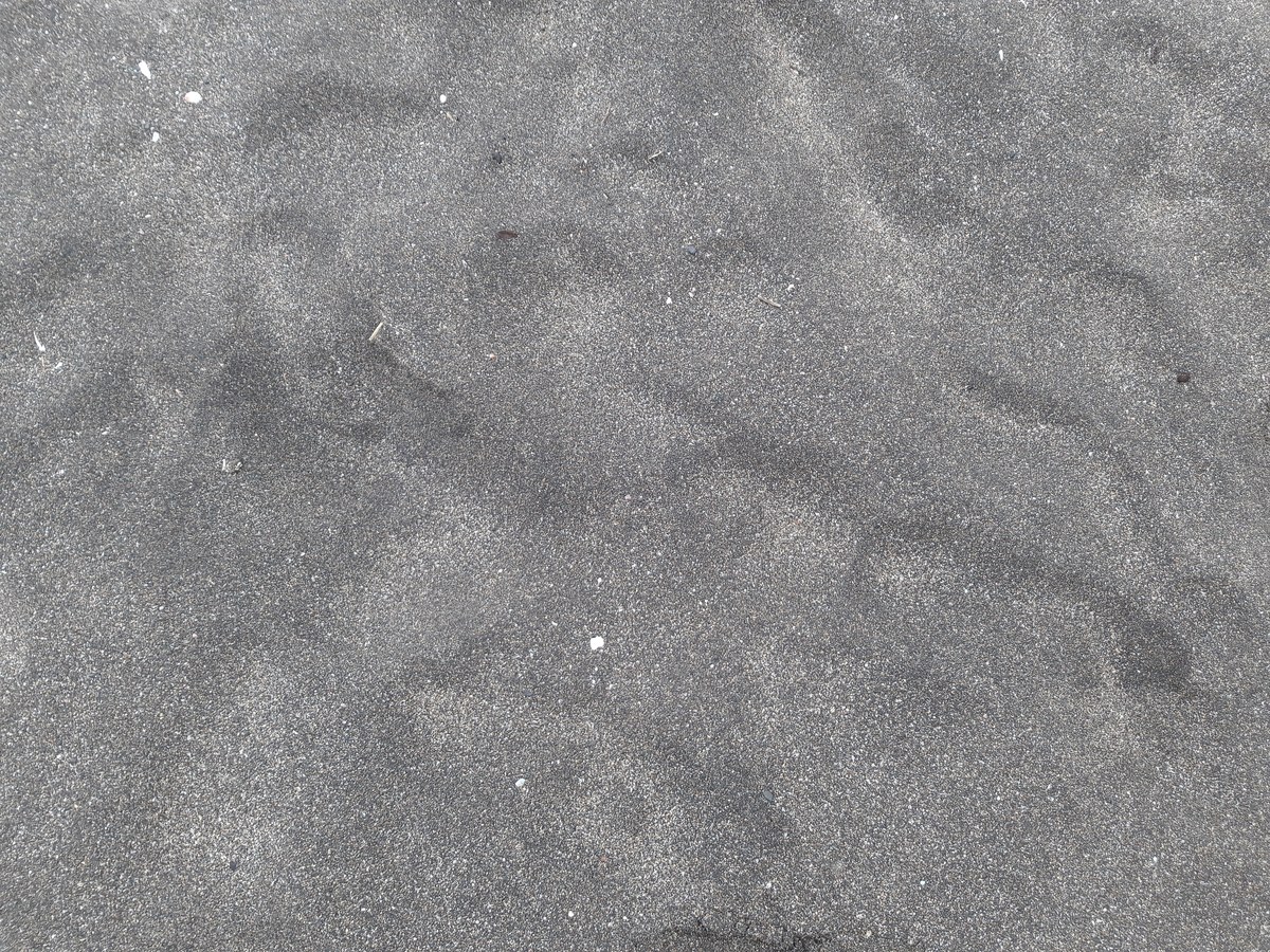 Praia Grande