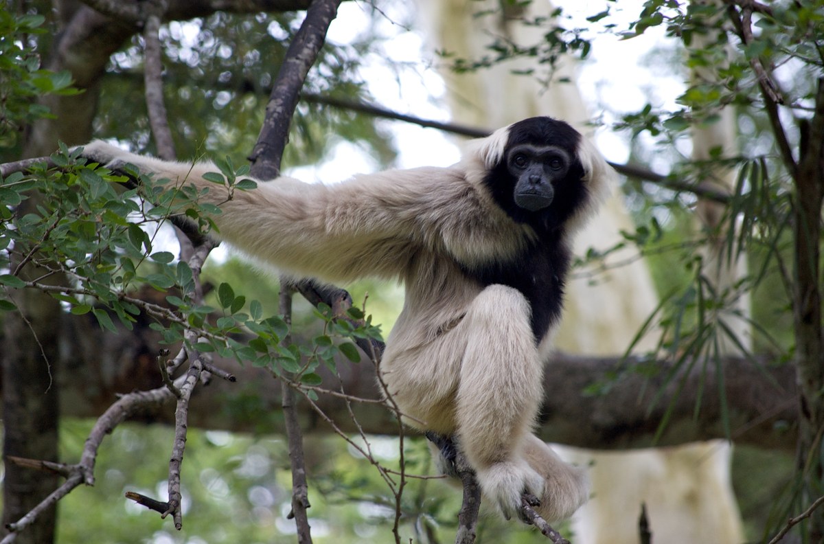 Botum Sakor National Park