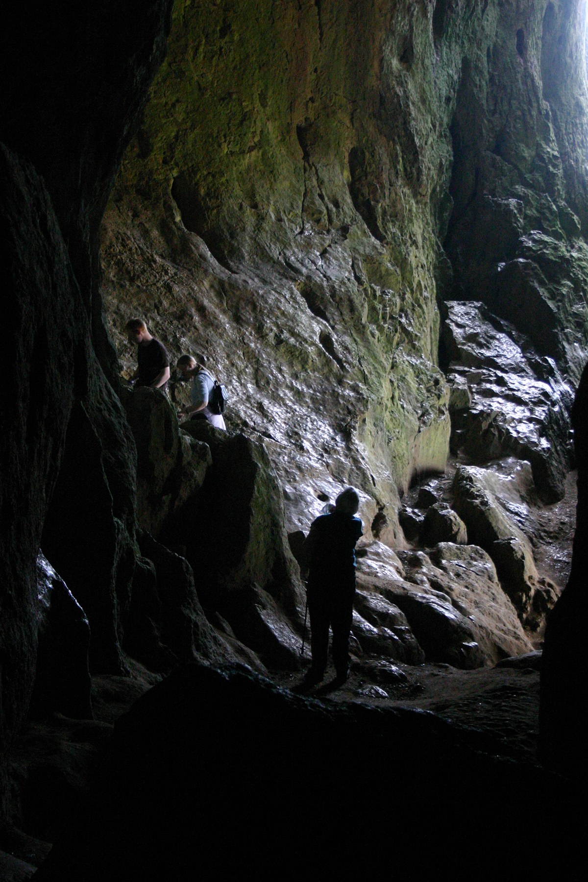 Elderbush Cave
