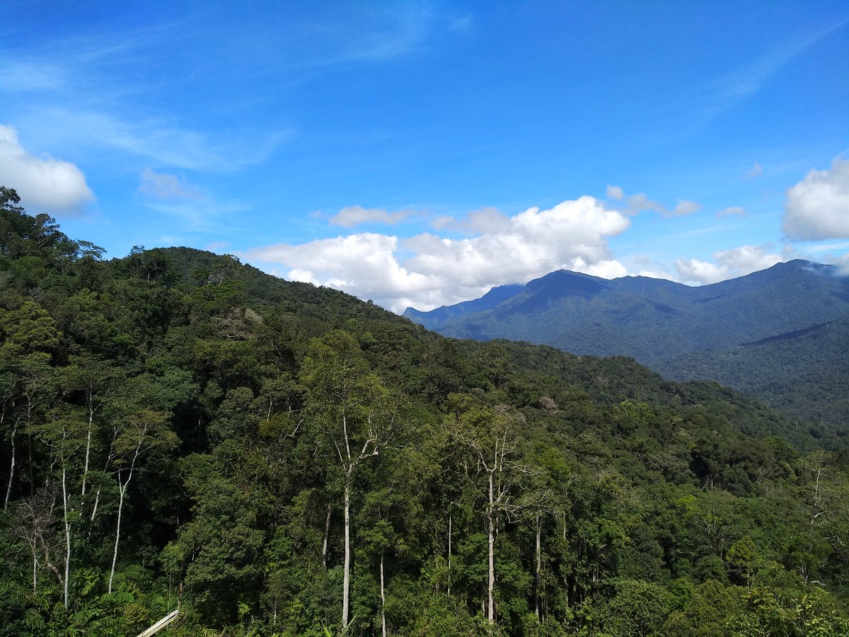 Bukit Liyang