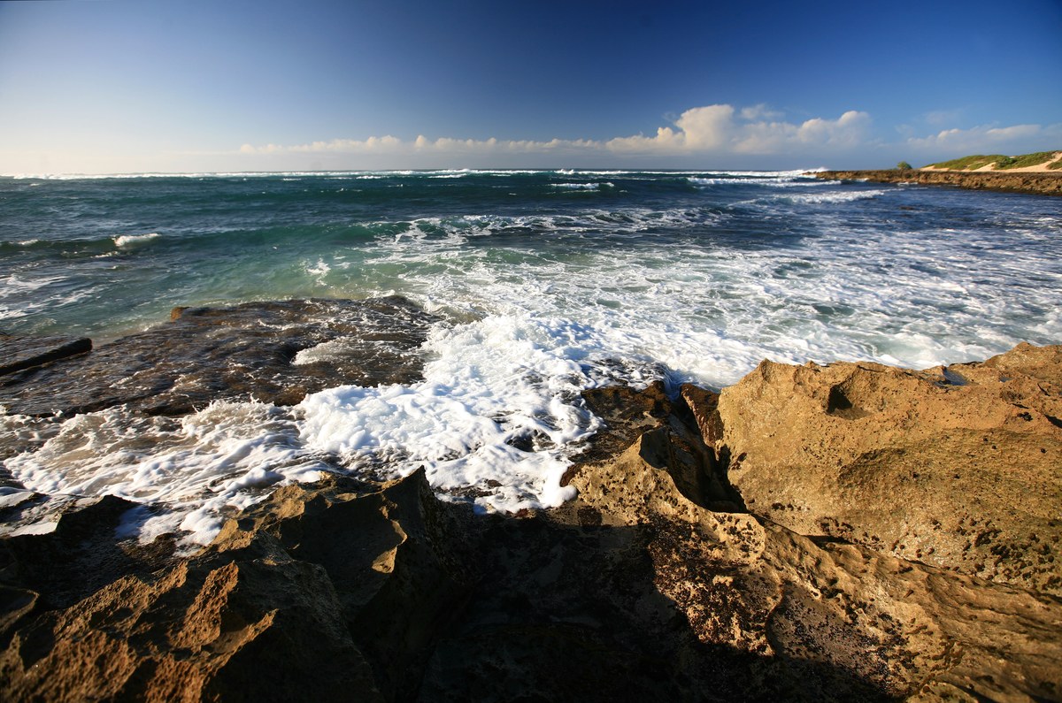 Kauhala