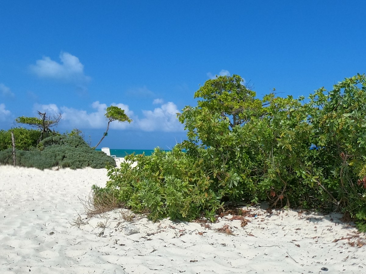 Isla Blanca Beach