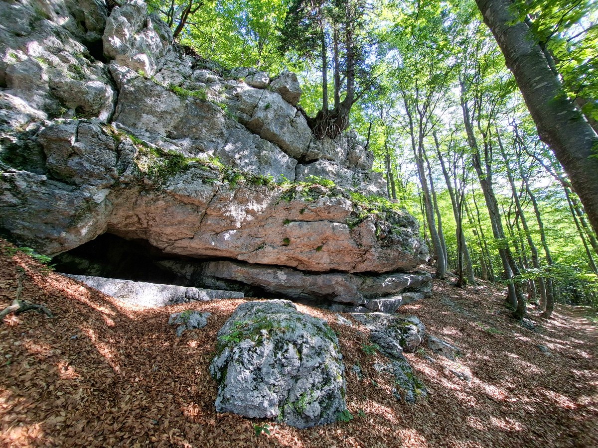 Podrta gora