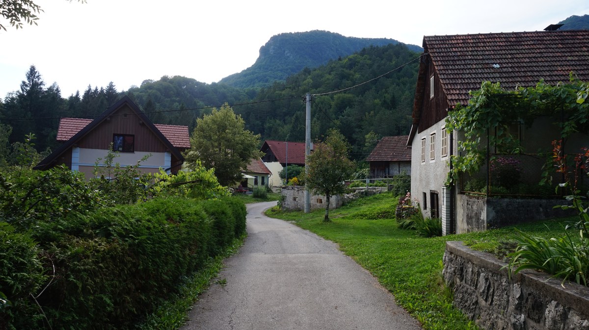 Nežica