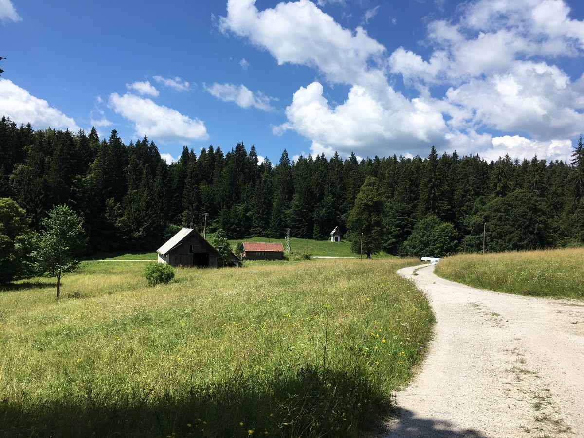 Velika Gora