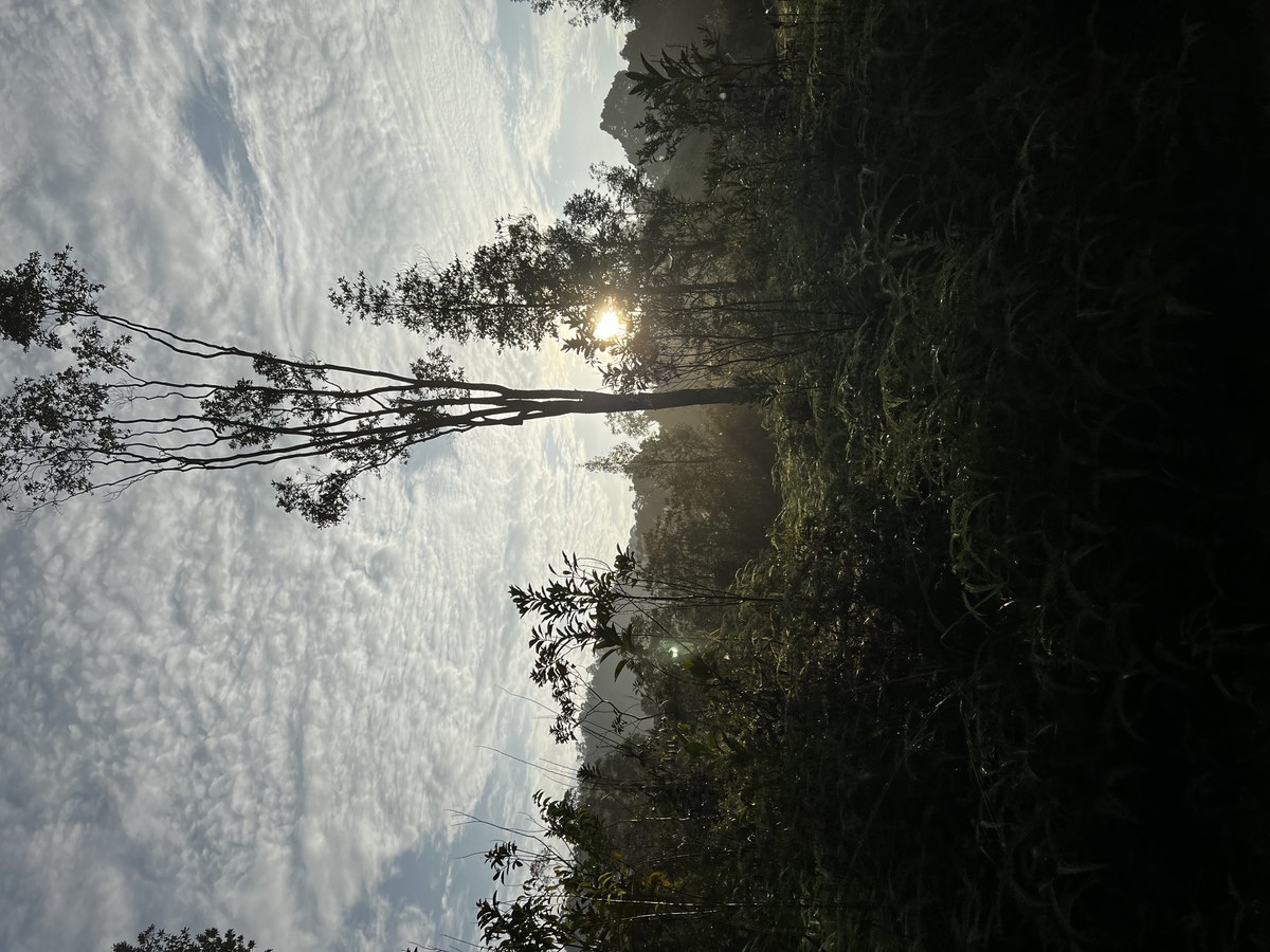 Air Terjun Jerangkang