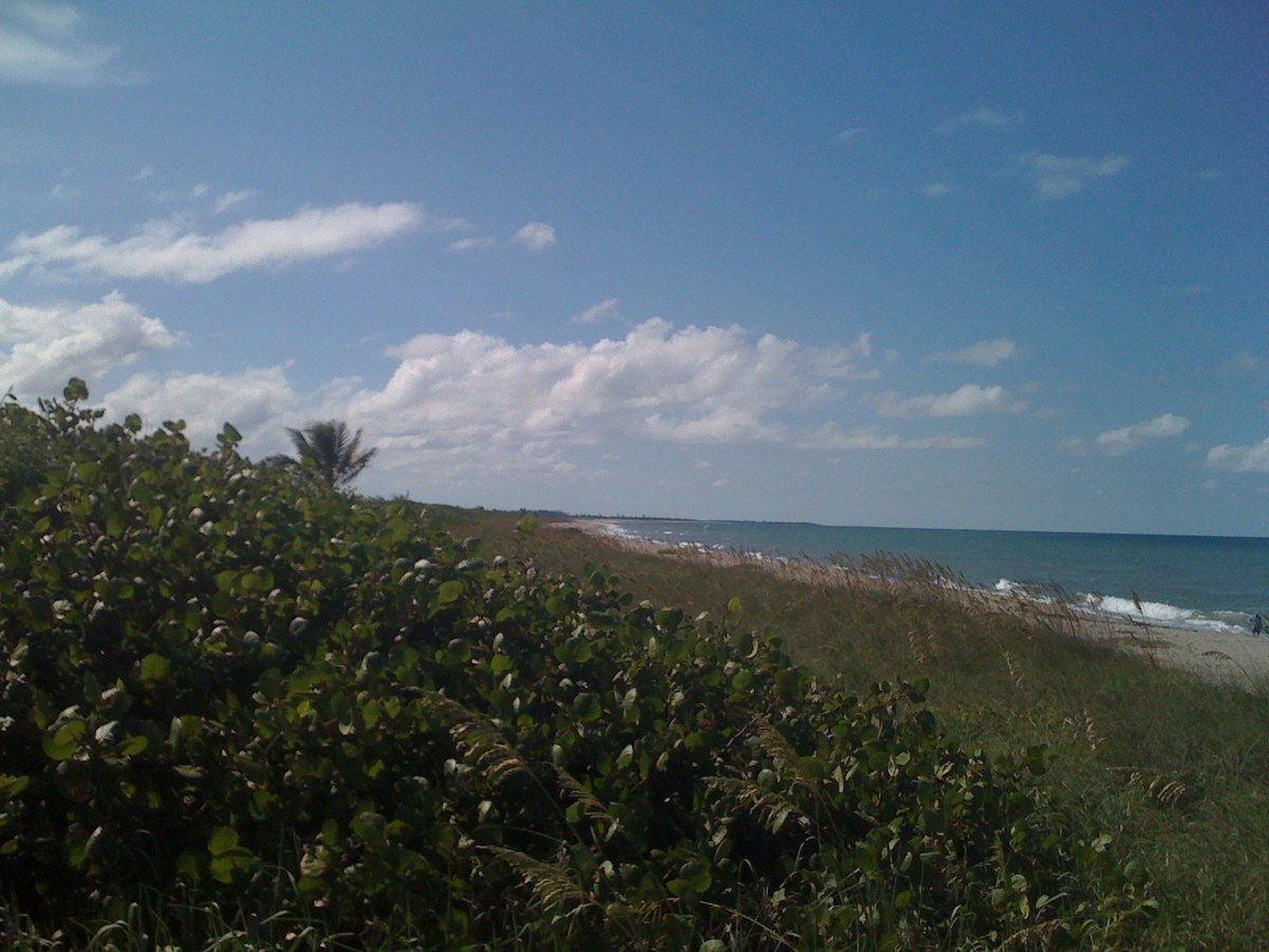 Bonair Beach