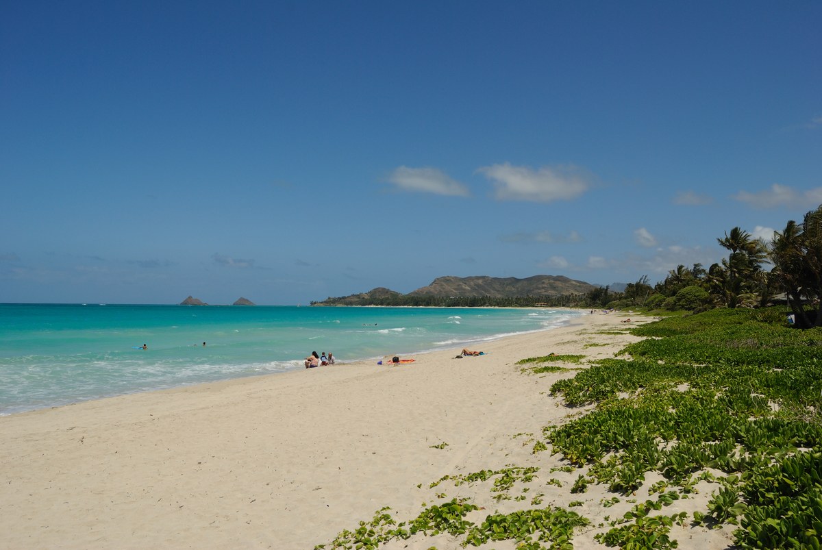 Kuahine