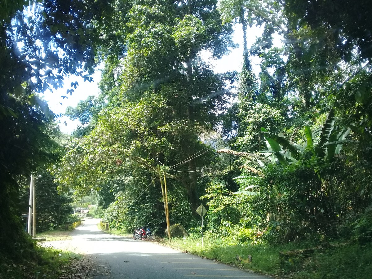 Bukit Ladam Kuda