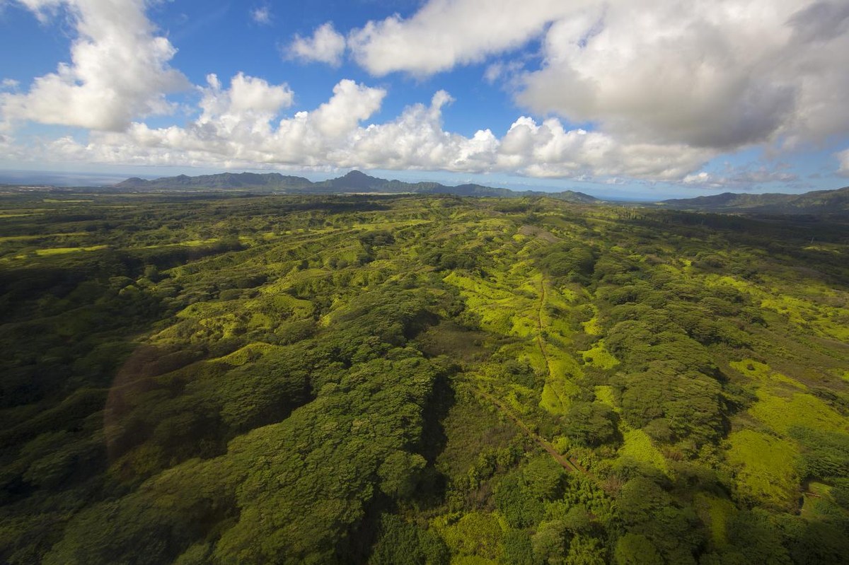 Mount Waialeale
