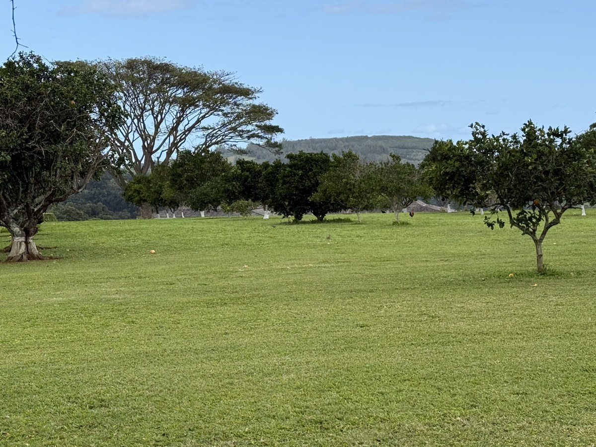 Waiakalua Iki Beach