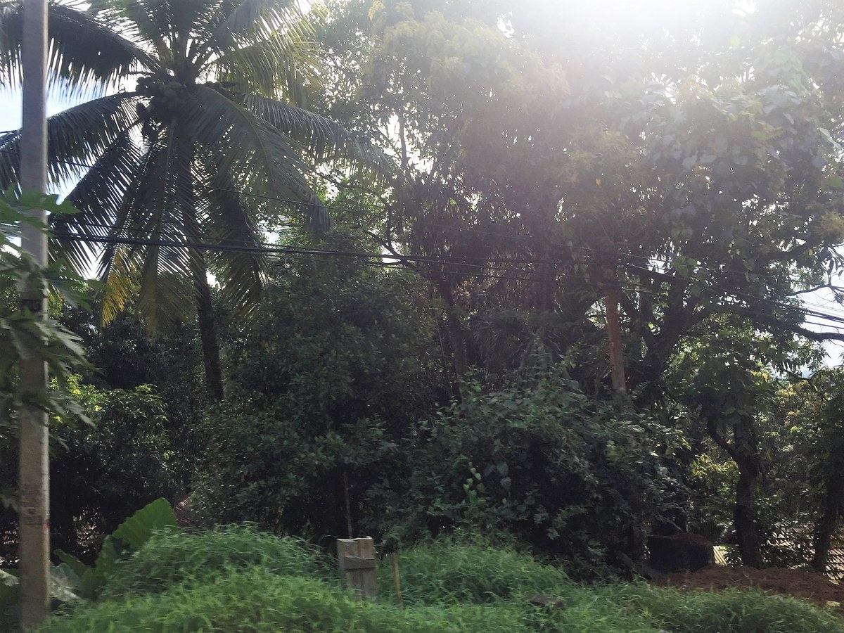 Tennapitiya