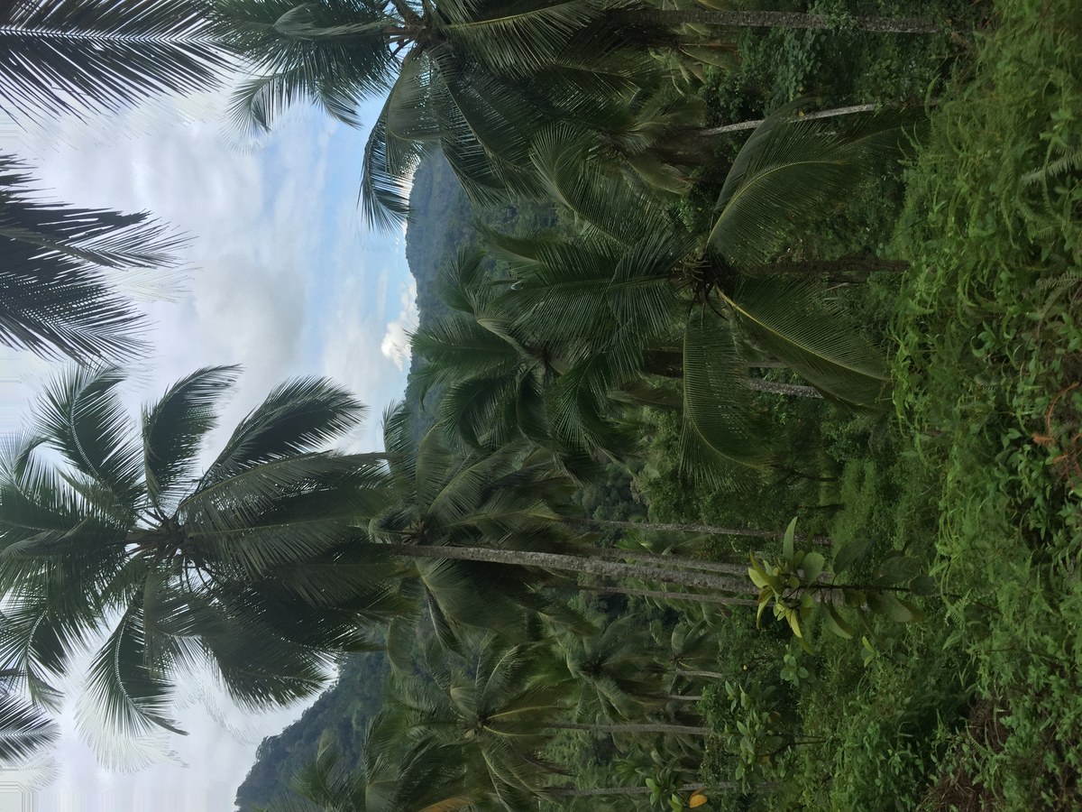 Potdenigala