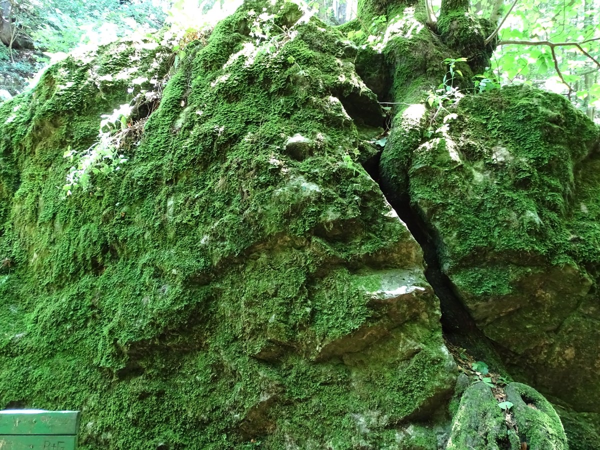 Kesselfall