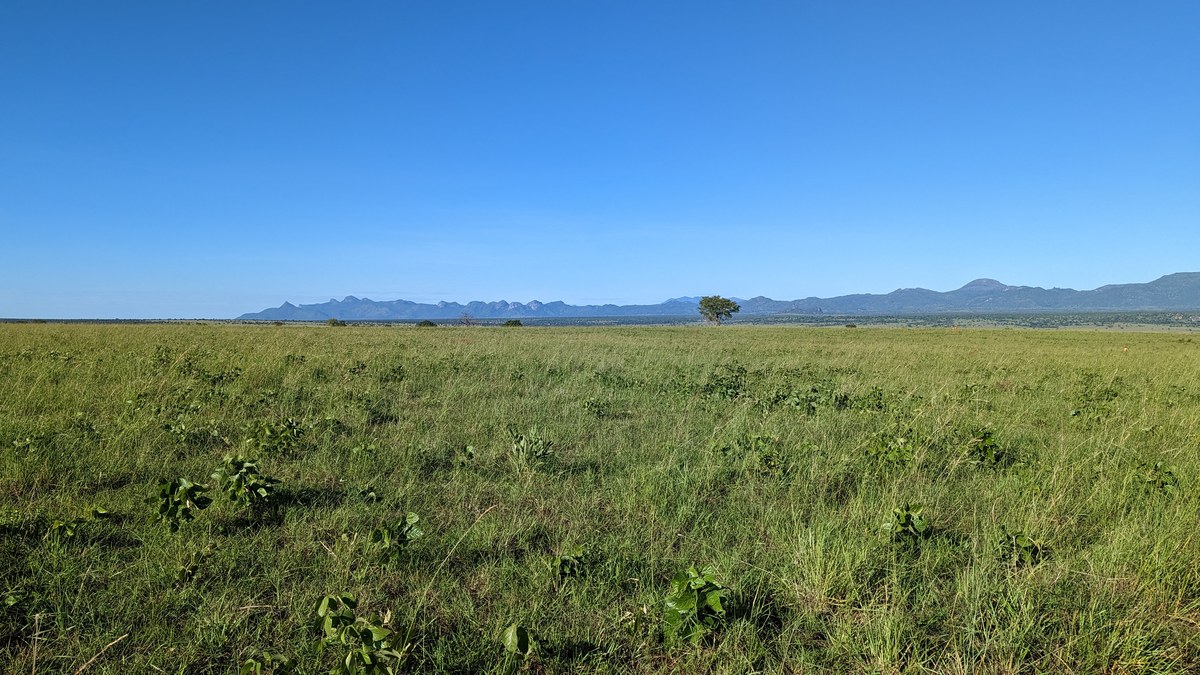 Lokukyamani