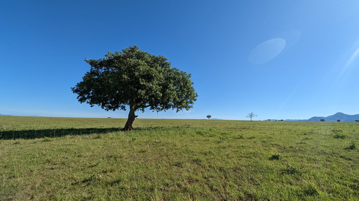 Karapochomo