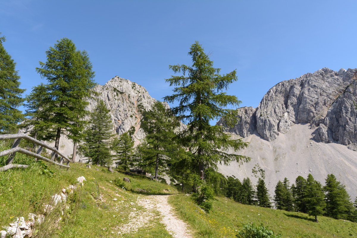 Edelweißspitze