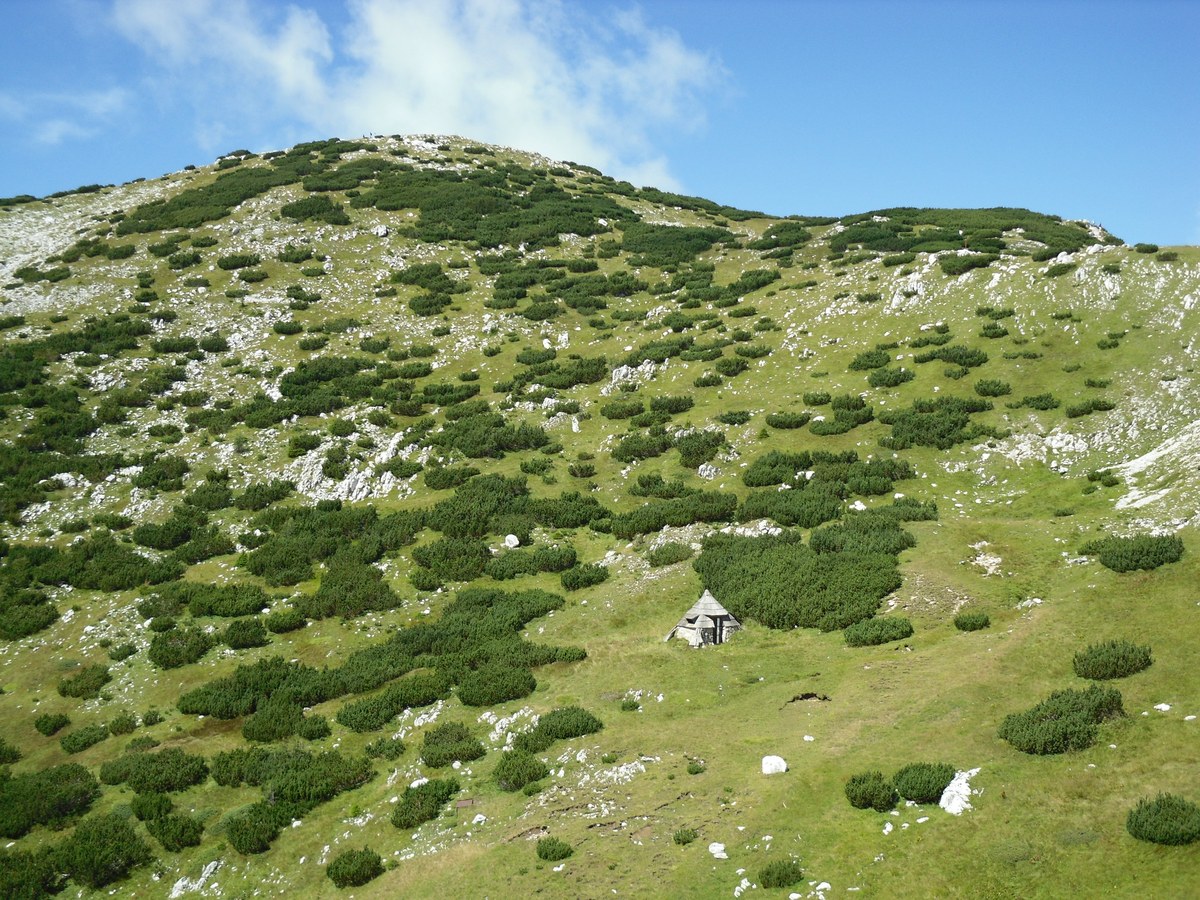 Kordeževa Glava
