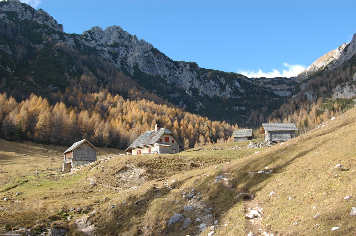 Konjščica