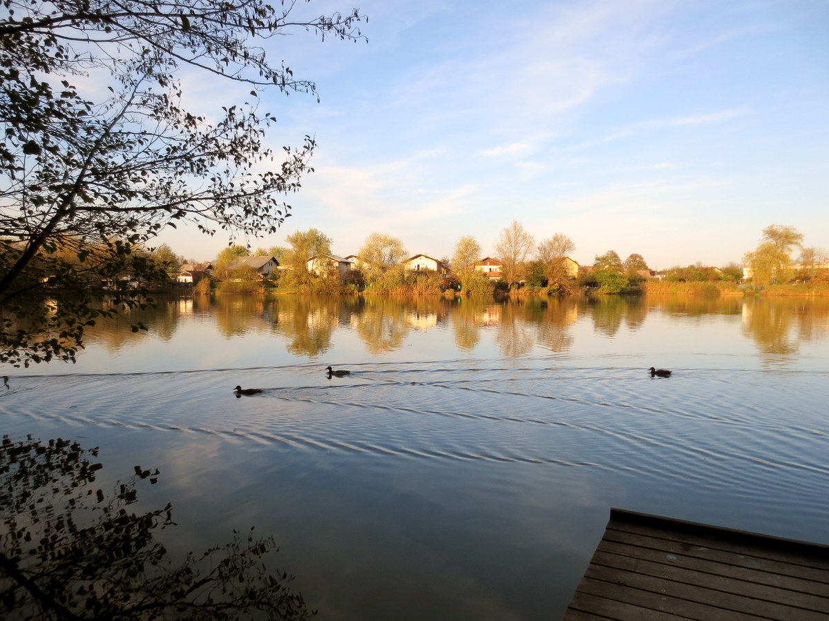 Koseze Pond