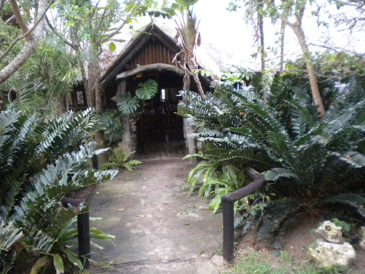 Kosimeer