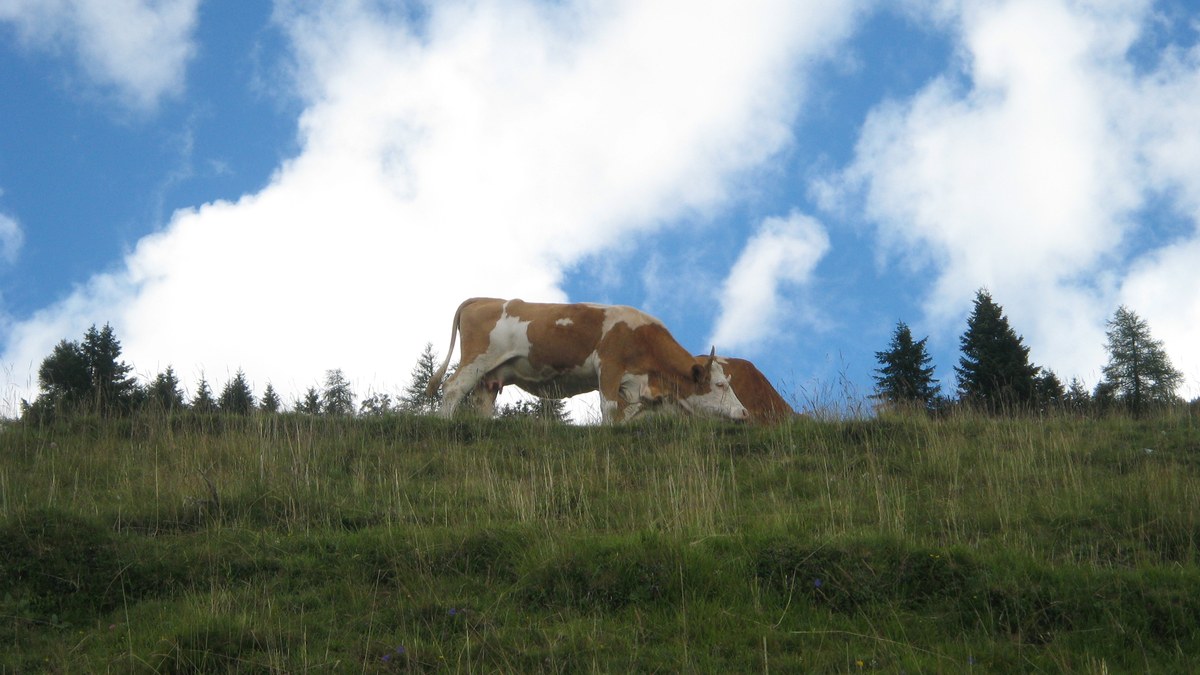 Dovška Baba