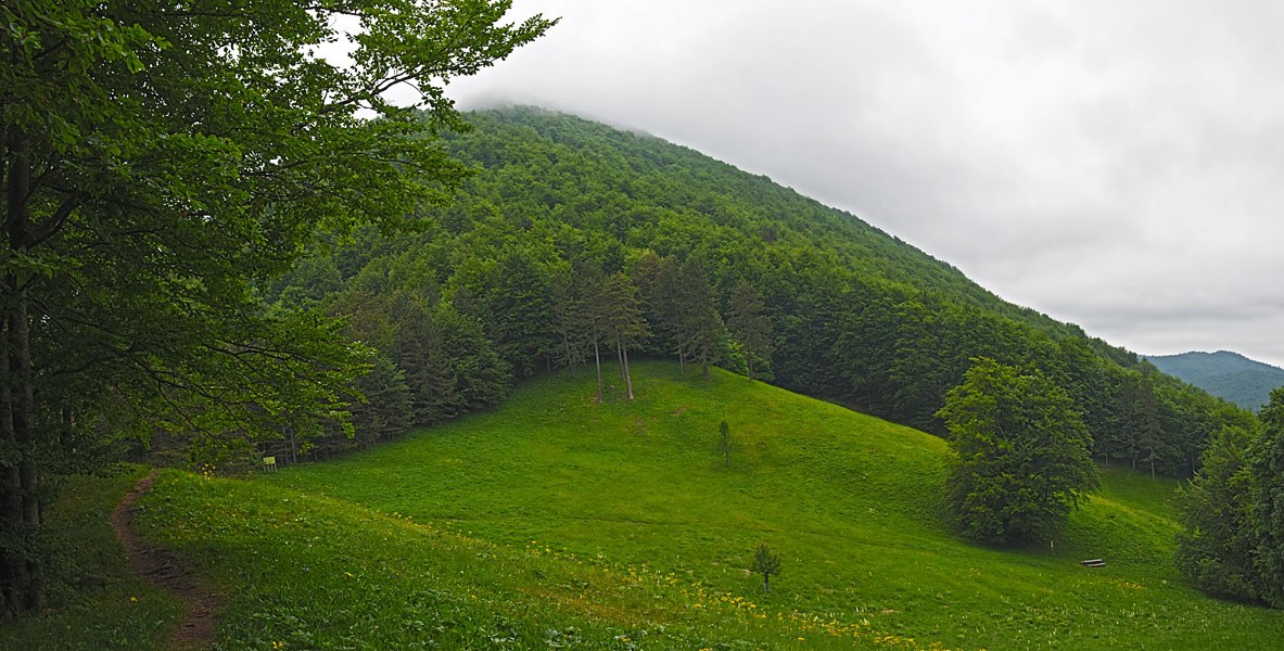 Mož