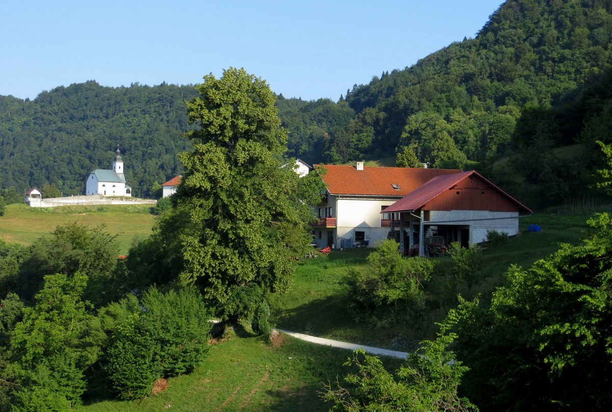 Cicelj