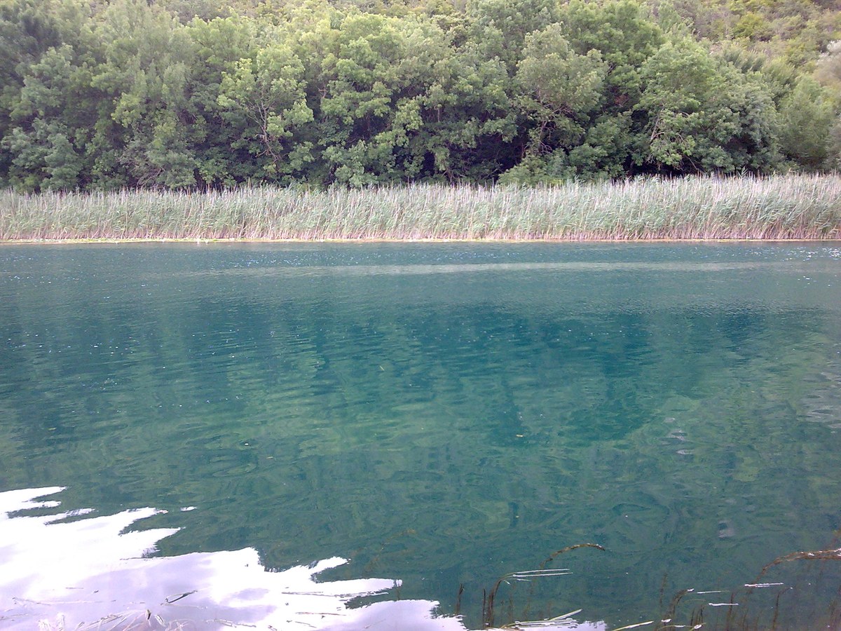 Nečven