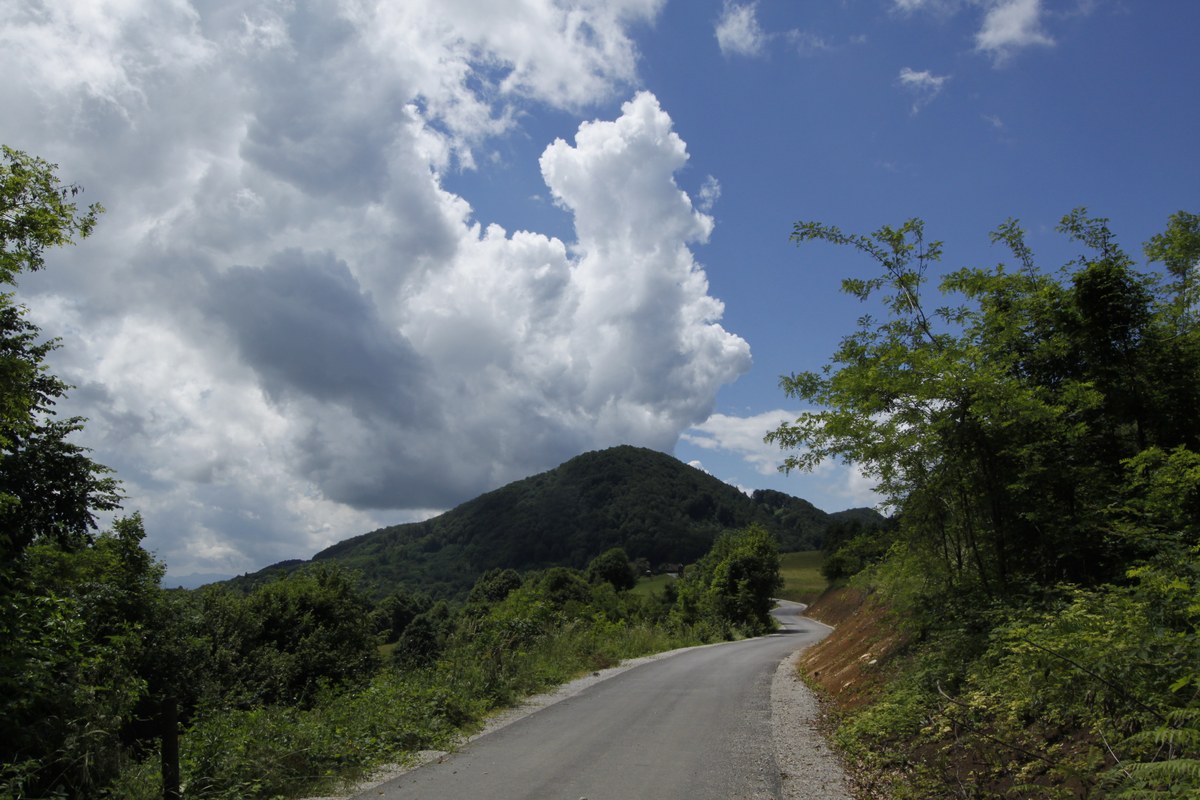 Spiček