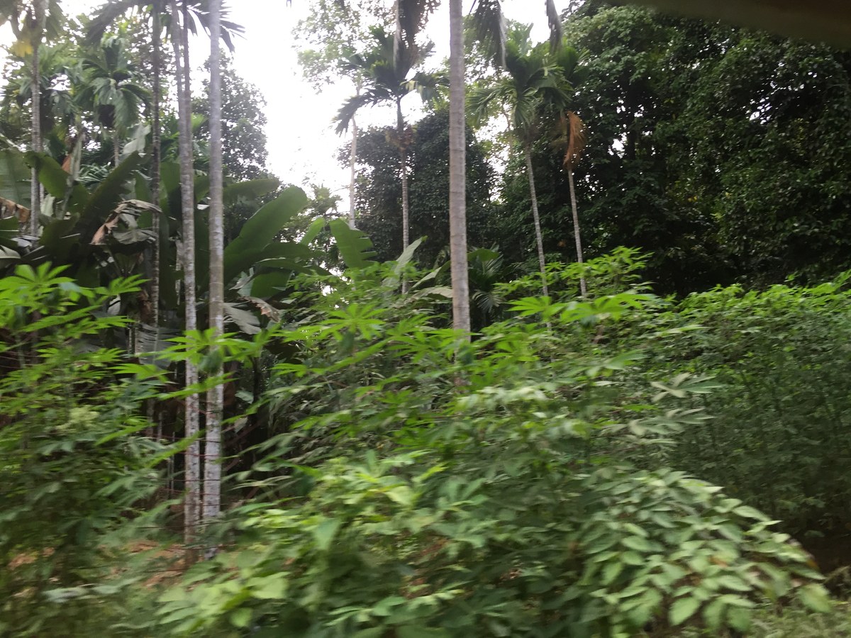 Delgamuwa Raja Maha Vihara